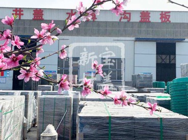 花滿枝頭，春意盎然